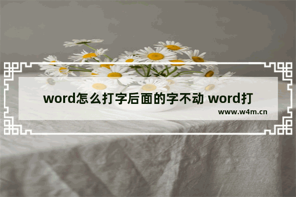 word怎么打字后面的字不动 word打字后面的字就没