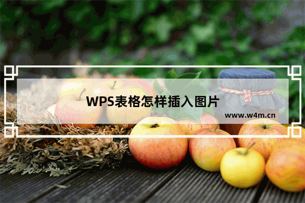 WPS表格怎样插入图片