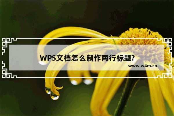 WPS文档怎么制作两行标题?