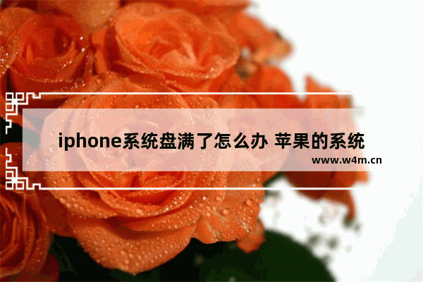 iphone系统盘满了怎么办 苹果的系统占了很多内存怎么办