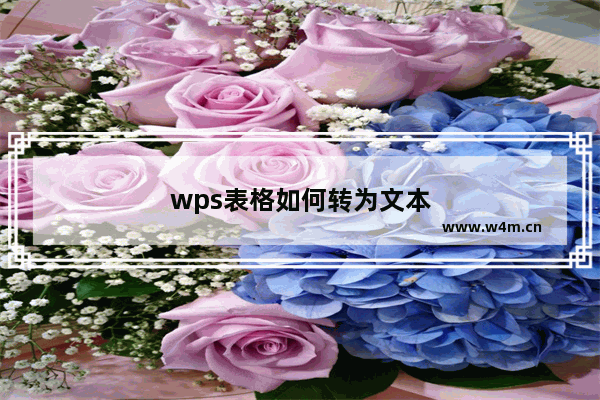 wps表格如何转为文本