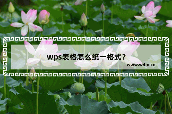 wps表格怎么统一格式？