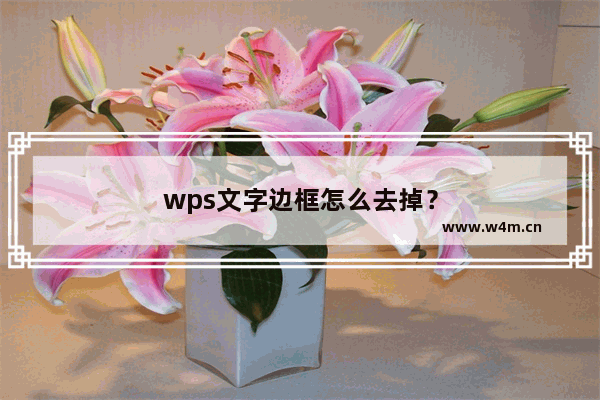 wps文字边框怎么去掉？