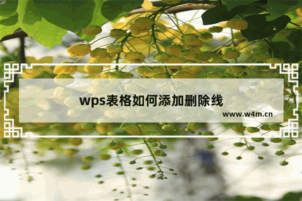 wps表格如何添加删除线