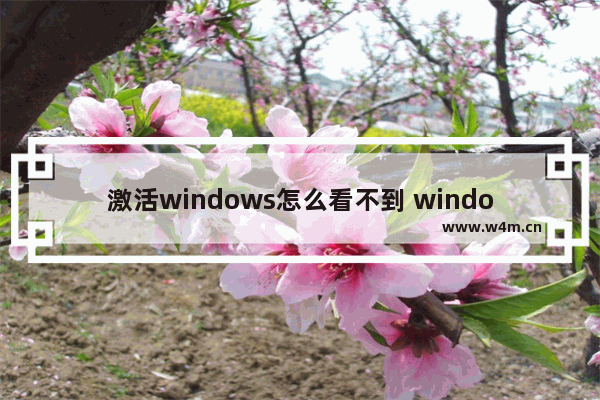 激活windows怎么看不到 window10查看激活码后还是不能激活