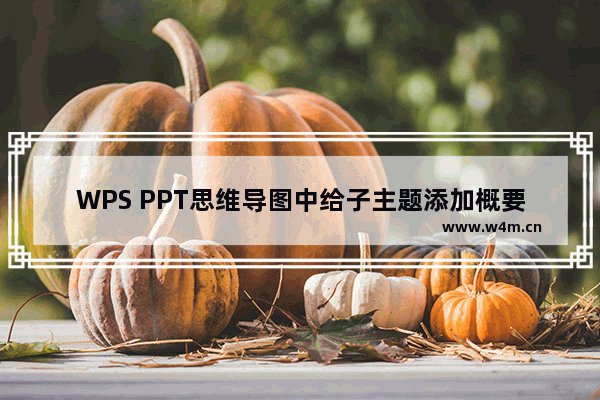 WPS PPT思维导图中给子主题添加概要的方法