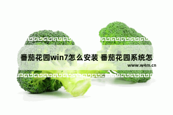 番茄花园win7怎么安装 番茄花园系统怎么样