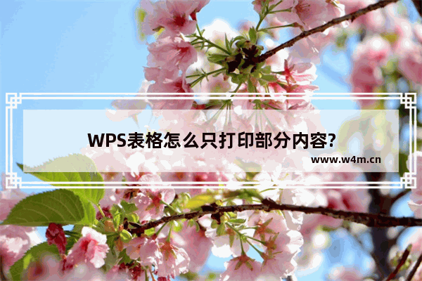 WPS表格怎么只打印部分内容?