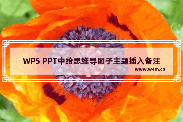 WPS PPT中给思维导图子主题插入备注的方法