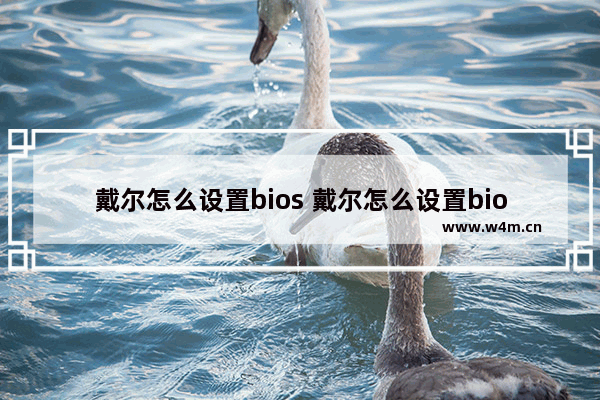 戴尔怎么设置bios 戴尔怎么设置bios开机密码