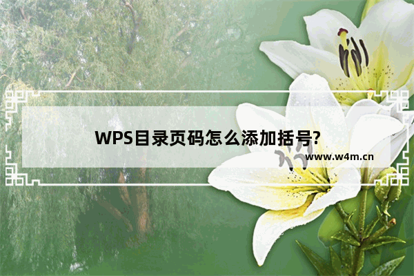 WPS目录页码怎么添加括号?