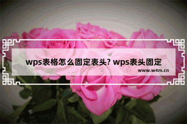 wps表格怎么固定表头? wps表头固定不动的教程