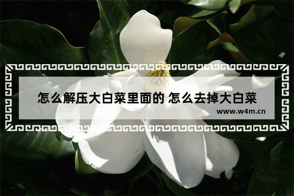 怎么解压大白菜里面的 怎么去掉大白菜