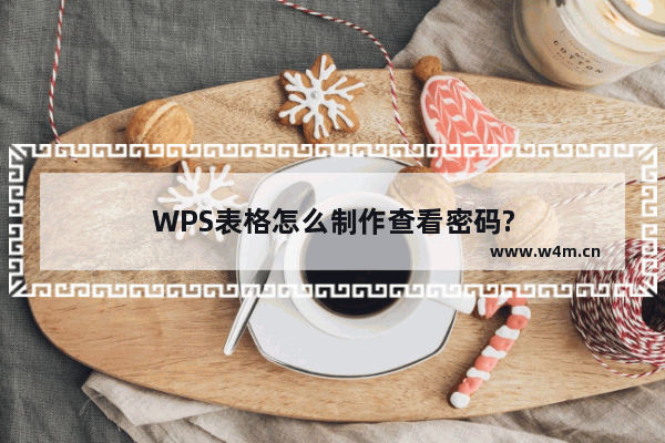 WPS表格怎么制作查看密码?