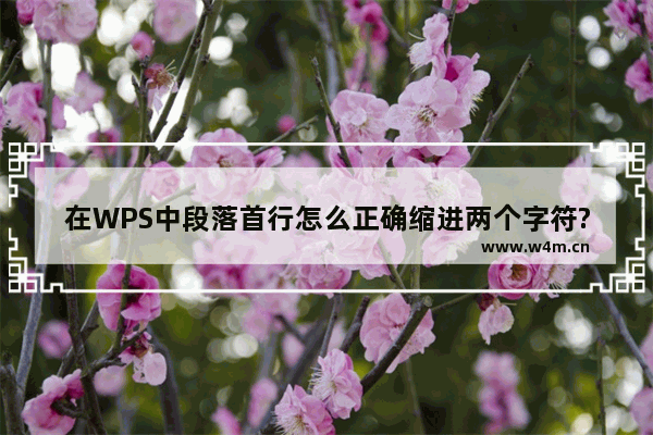 在WPS中段落首行怎么正确缩进两个字符?