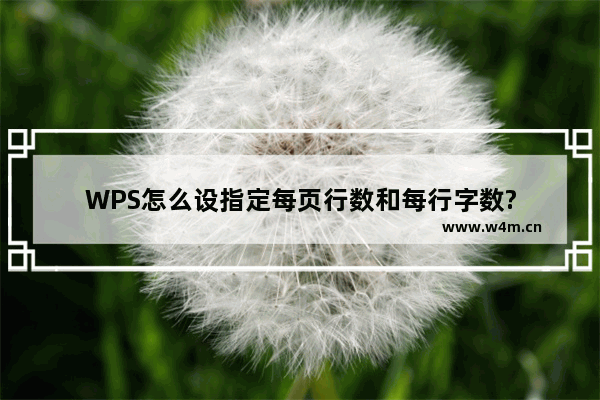 WPS怎么设指定每页行数和每行字数?