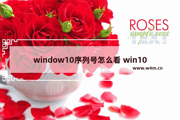 window10序列号怎么看 win10序列号查看