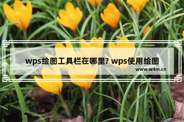 wps绘图工具栏在哪里? wps使用绘图工具绘制图形的教程