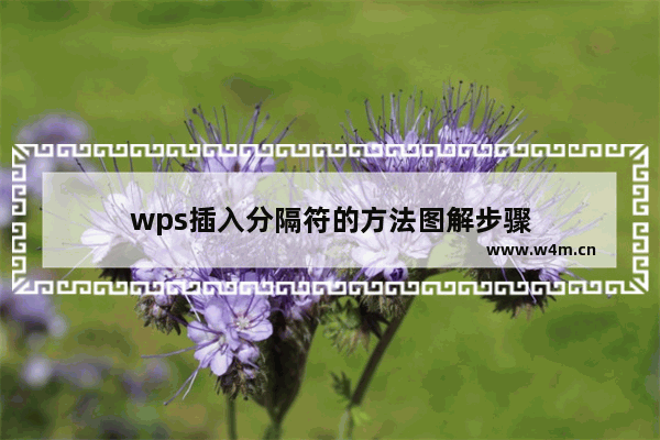 wps插入分隔符的方法图解步骤