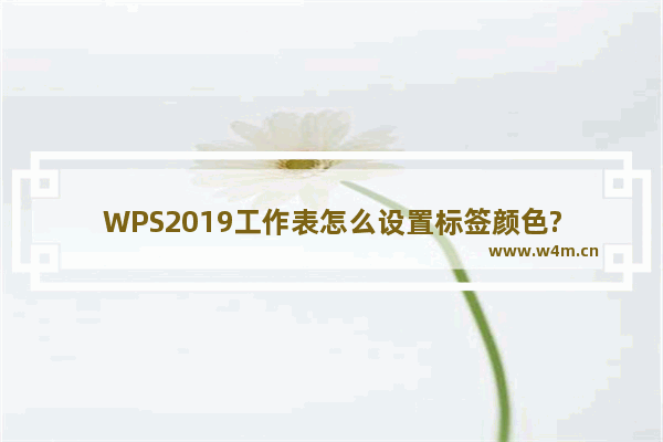 WPS2019工作表怎么设置标签颜色?