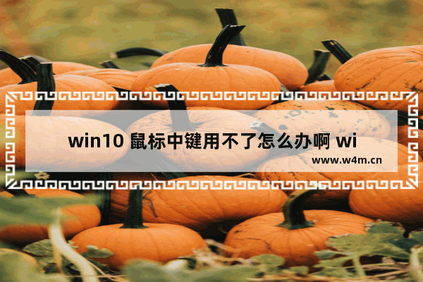 win10 鼠标中键用不了怎么办啊 win10鼠标中键失灵处理方法