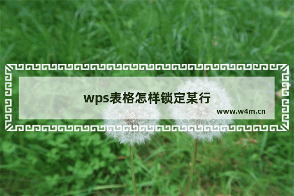 wps表格怎样锁定某行