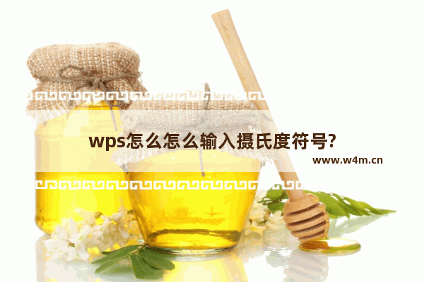 wps怎么怎么输入摄氏度符号?