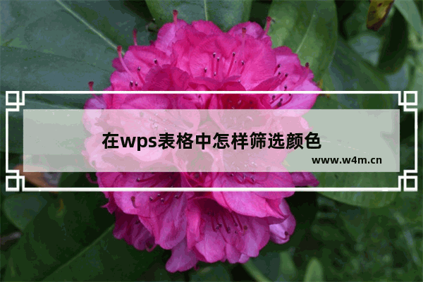 在wps表格中怎样筛选颜色