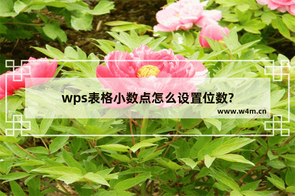 wps表格小数点怎么设置位数?