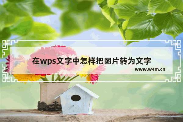 在wps文字中怎样把图片转为文字