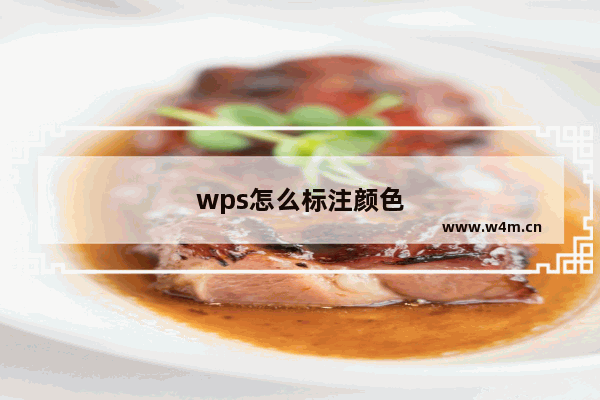 wps怎么标注颜色