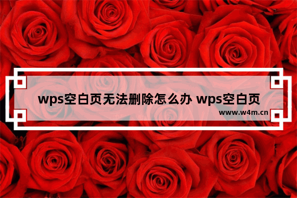 wps空白页无法删除怎么办 wps空白页怎么删除