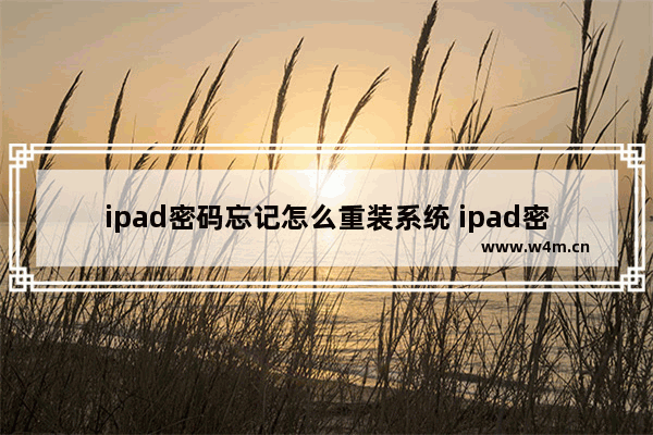 ipad密码忘记怎么重装系统 ipad密码忘记怎么重装系统教程