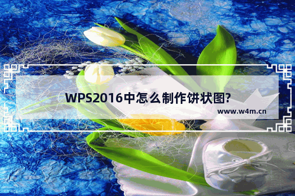 WPS2016中怎么制作饼状图?