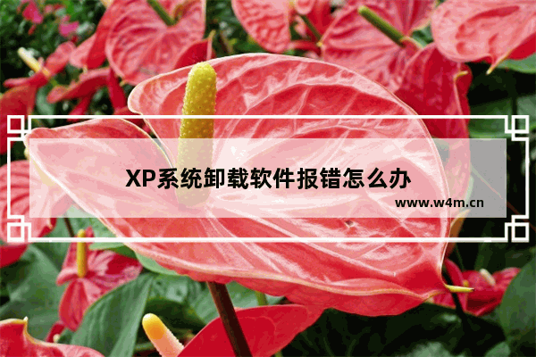 XP系统卸载软件报错怎么办