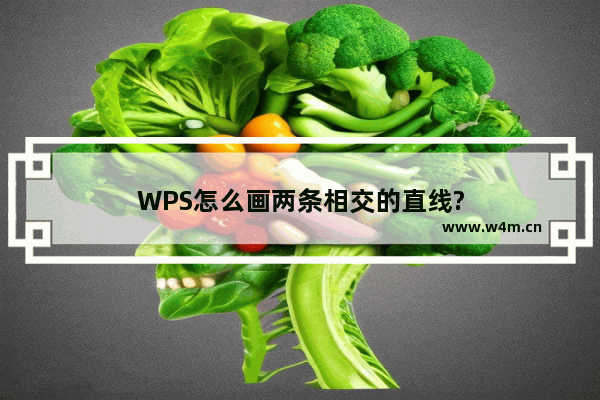 WPS怎么画两条相交的直线?