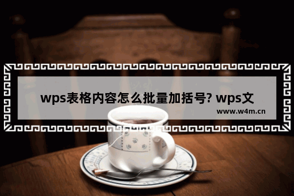 wps表格内容怎么批量加括号? wps文字数字添加括号的技巧