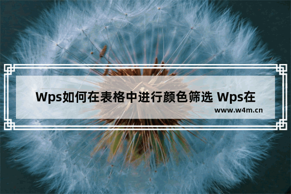 Wps如何在表格中进行颜色筛选 Wps在表格中进行颜色筛选的方法