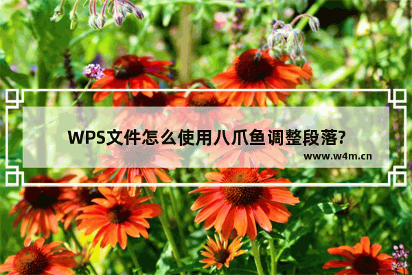 WPS文件怎么使用八爪鱼调整段落?