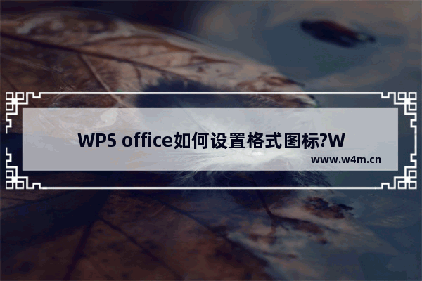 WPS office如何设置格式图标?WPS office设置格式图标教程