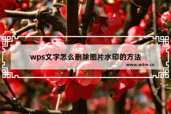 wps文字怎么删除图片水印的方法