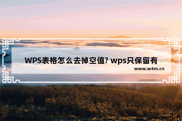 WPS表格怎么去掉空值? wps只保留有效数据的教程