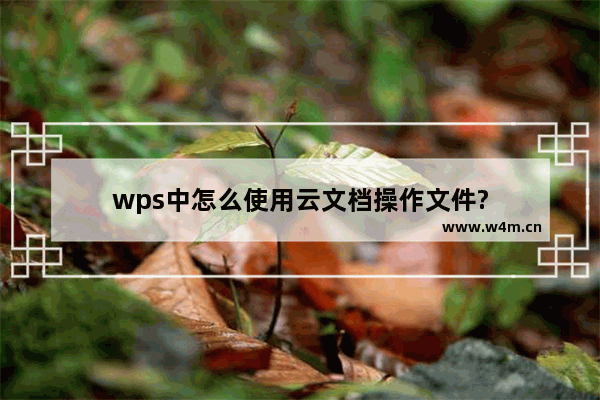 wps中怎么使用云文档操作文件?