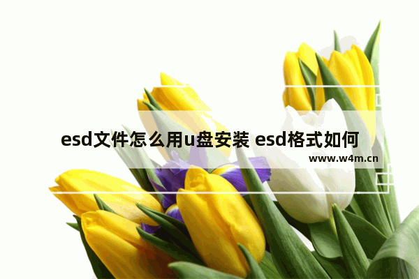 esd文件怎么用u盘安装 esd格式如何安装