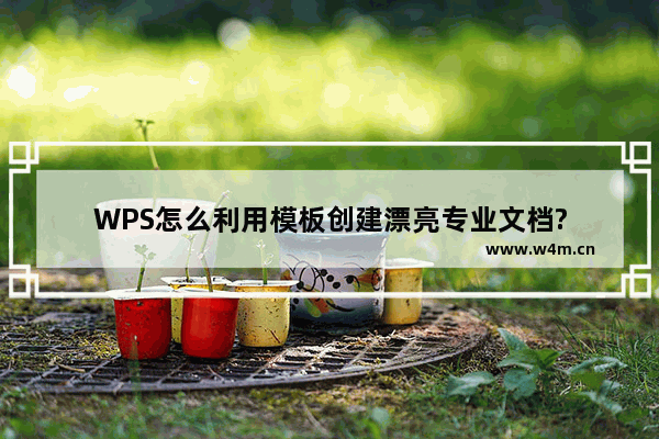 WPS怎么利用模板创建漂亮专业文档?