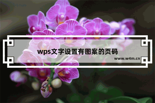 wps文字设置有图案的页码