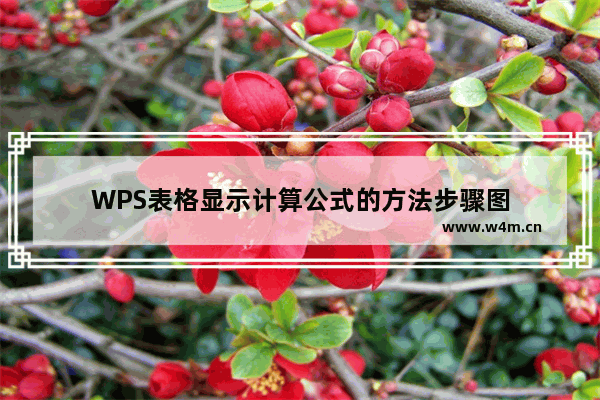 WPS表格显示计算公式的方法步骤图