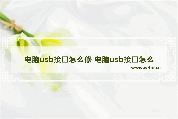 电脑usb接口怎么修 电脑usb接口怎么修