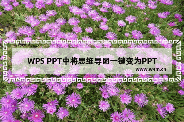 WPS PPT中将思维导图一键变为PPT的方法