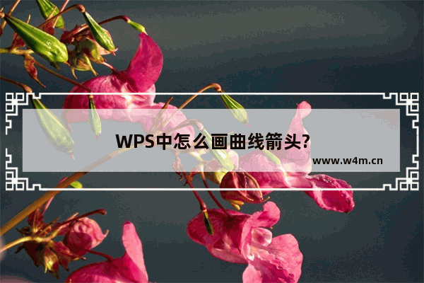 WPS中怎么画曲线箭头?